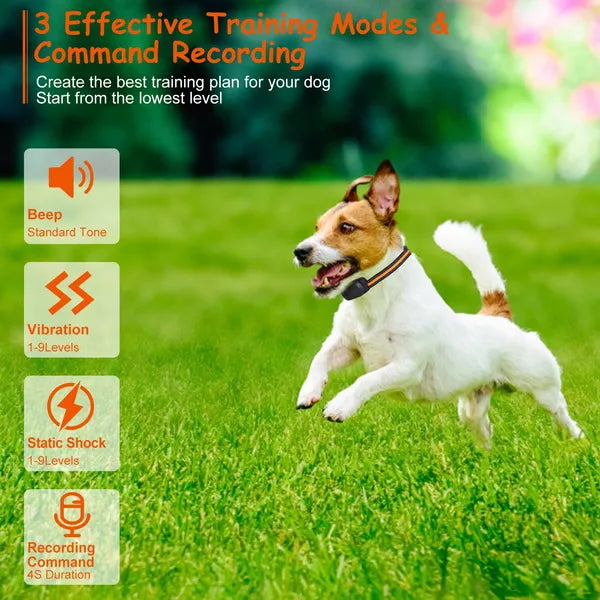 Remote Dog Training Collar with Voice Recording โ 984 ft, Beep, Vibration & Static, Rechargeable โ view 2