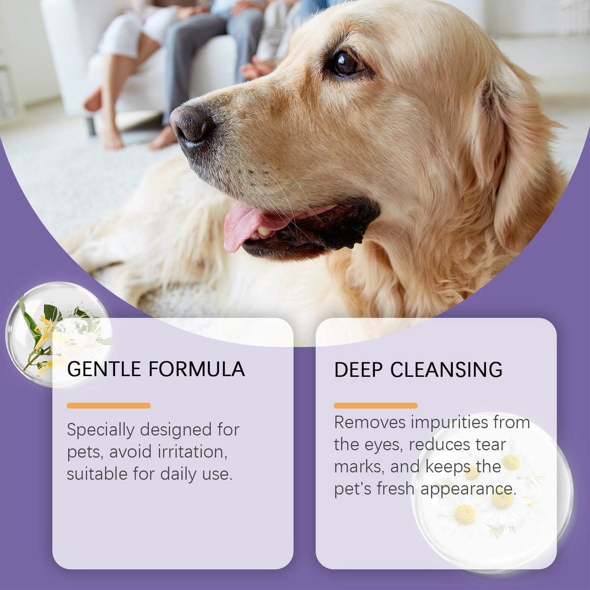 Pet Eye Rinse Solution for Dogs & Cats, 30 ml Bottle with Cotton Swabs โ view 5