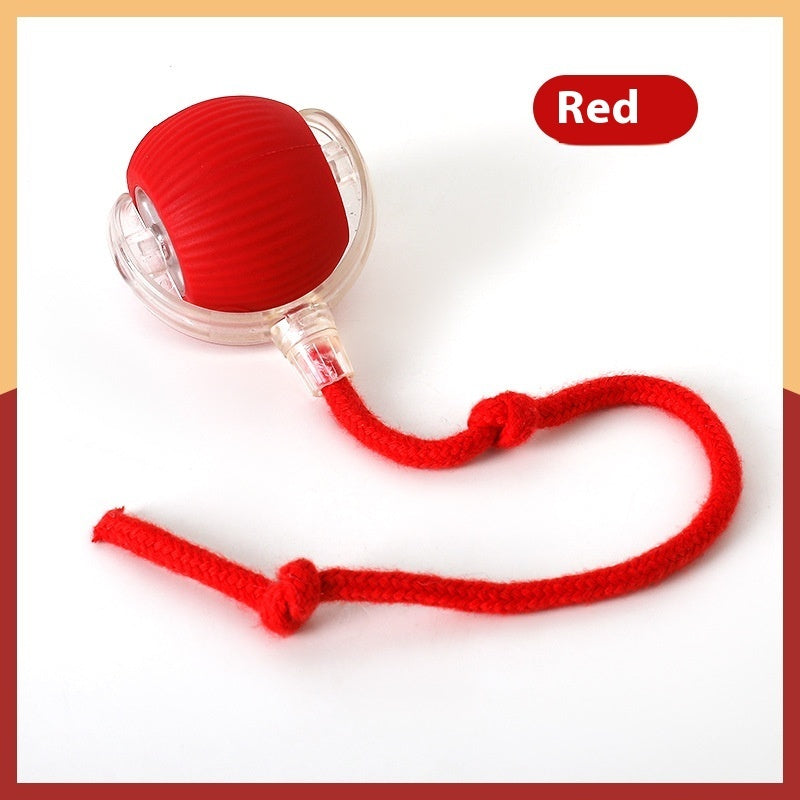 Self-Driving Rolling Ball Cat Toy – 3 Modes, Bird Chirp Sound, Tail & Rope Attachments – view 5