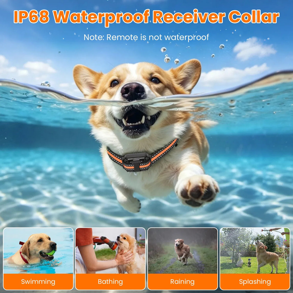 Remote Dog Training Collar – 875 Yard Range, 4 Modes, IP68 Waterproof, 1 or 2 Collars – view 2