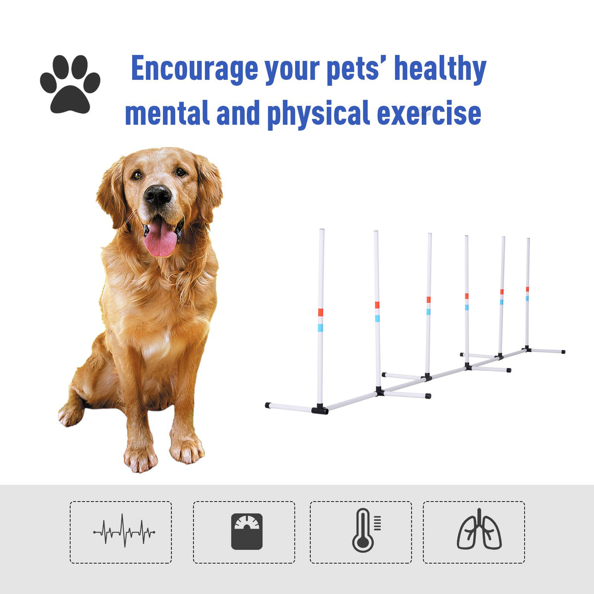 Dog Agility Weave Poles โ 6-Pole Set, 129 in Course with Storage Bag, White โ view 6