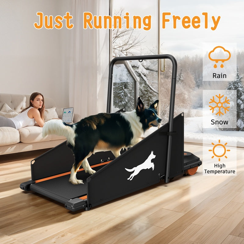 Compact Dog Treadmill for Small & Medium Dogs – 36 x 14 in Belt, 0.5–6 mph, Foldable – view 3