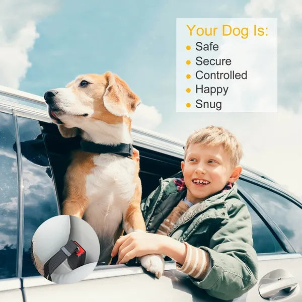 Pet Car Seat Belt 2-Pack – Adjustable Dog & Cat Safety Lead with Swivel Clip, Stainless Steel Hardware – view 5
