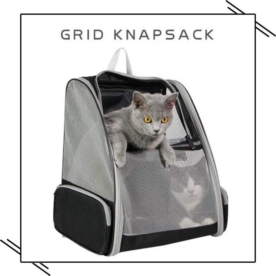 Bubble Window Pet Carrier Backpack โ Ventilated Cat & Small Dog Backpack with Removable Mat โ view 4