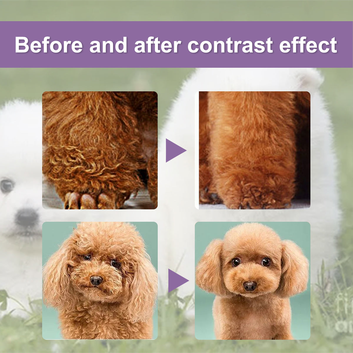 Pet Coat Conditioner for Dogs & Cats – 50 ml Detangling Rinse-Out Conditioner, Scented – view 3