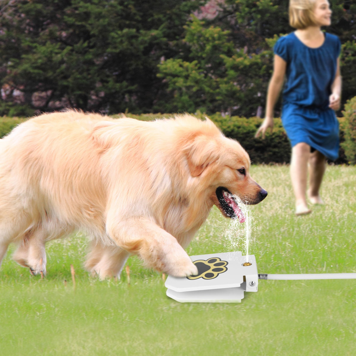 Step-On Outdoor Dog Water Fountain โ Paw Pedal Activated Drinking Fountain with Hose โ view 8