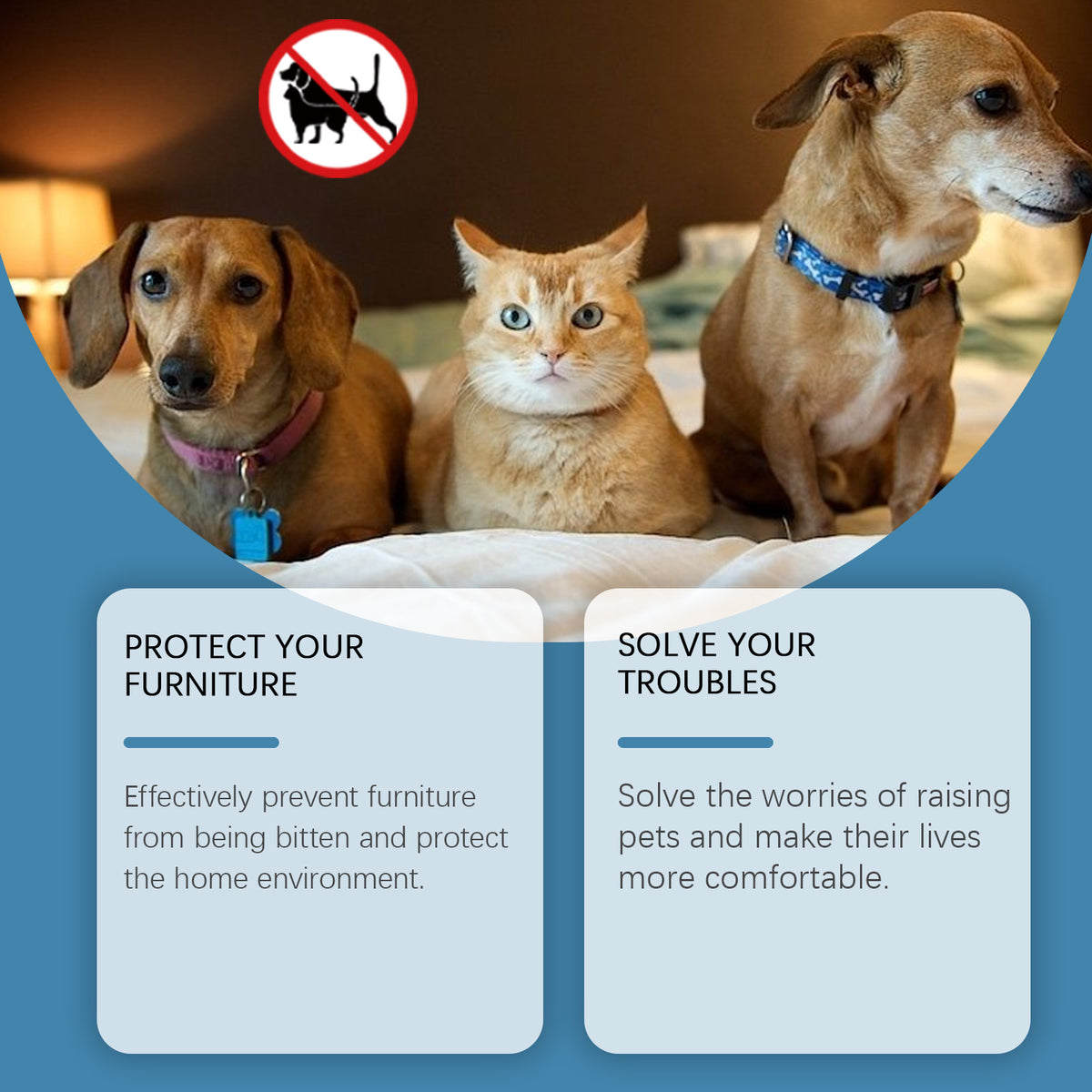 Pet Anti-Chew & Anti-Scratch Deterrent Paste โ Eucalyptus & Mint, Stick-On, 120 g โ view 2