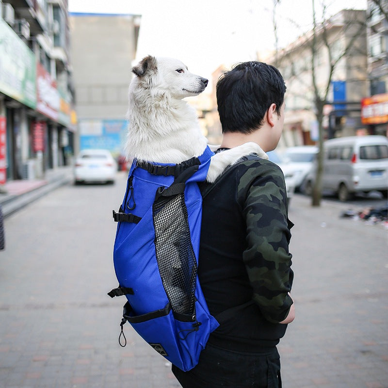 Legs-Out Dog Carrier Backpack – Breathable Front & Back Pet Carrier for Small Dogs & Puppies, S–XL – view 3