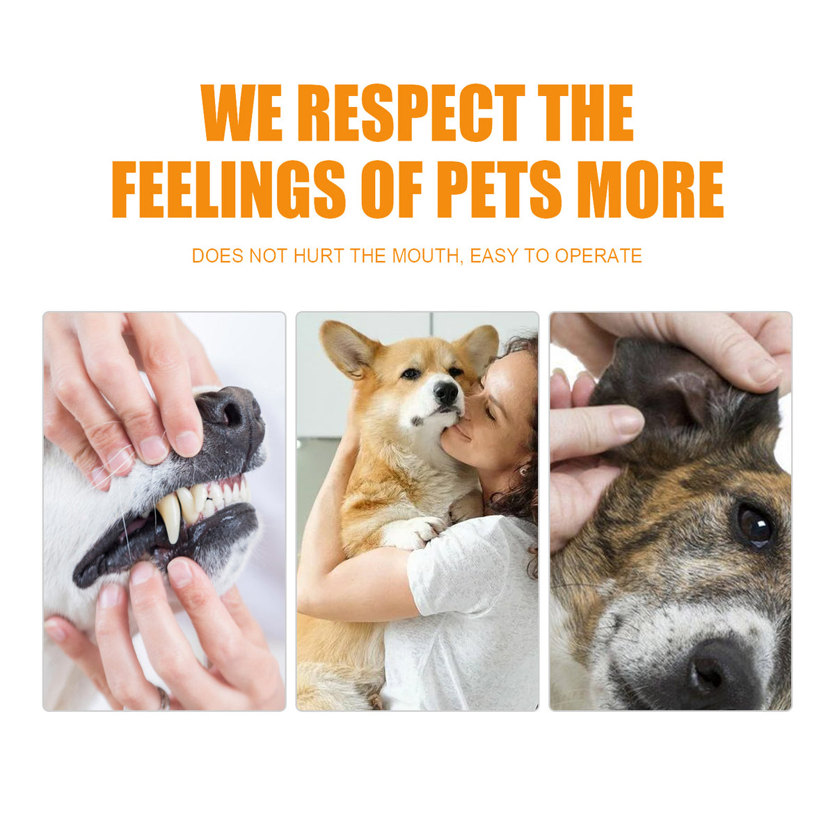 Pet Cleaning Finger Wipes for Dogs and Cats โ 50 Count Jar for Teeth, Eye Area and Ears โ view 4