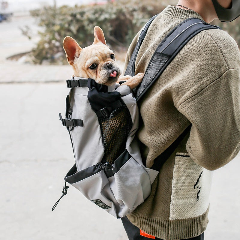 Legs-Out Dog Carrier Backpack – Breathable Front & Back Pet Carrier for Small Dogs & Puppies, S–XL – view 5