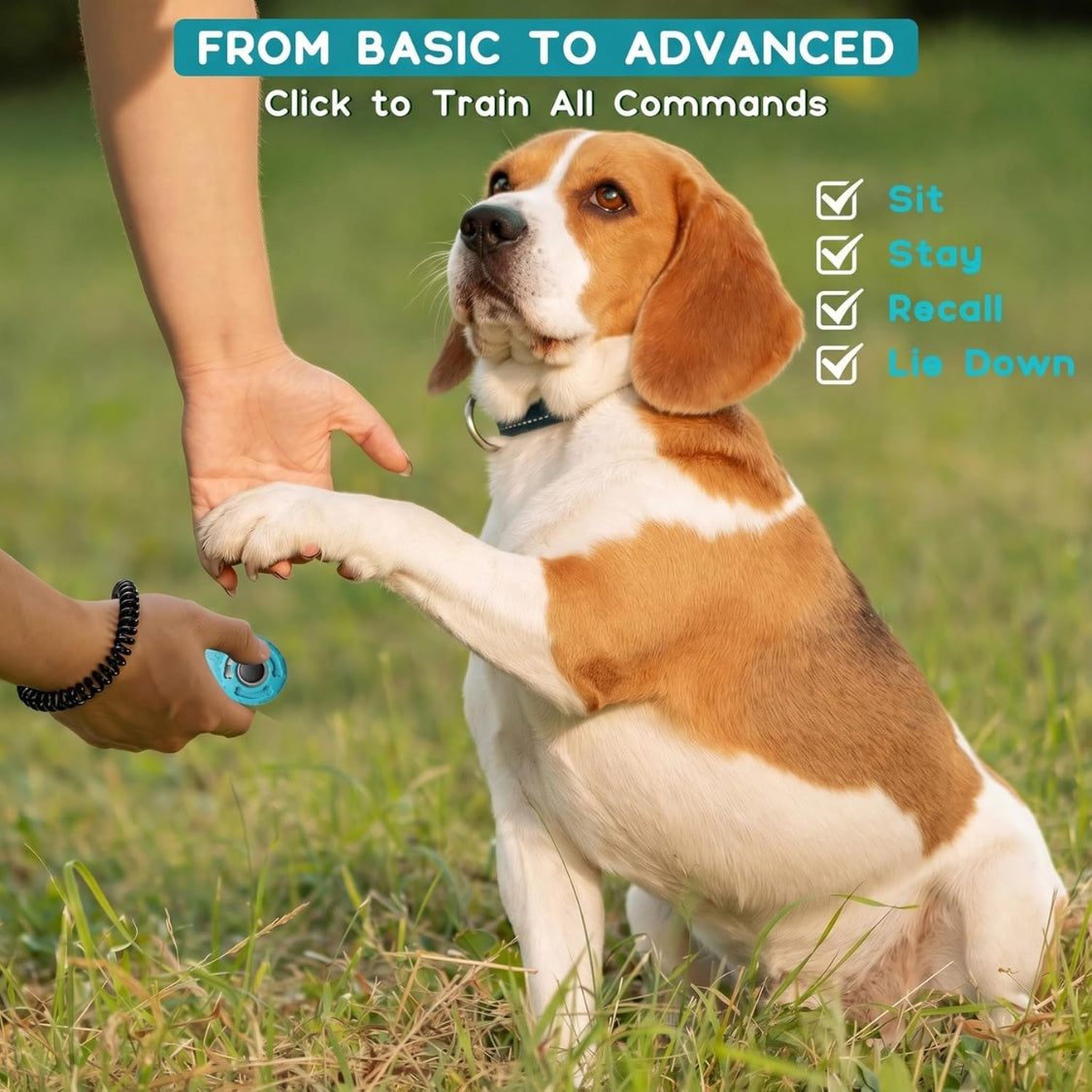Dog Training Clicker with Stretchy Wrist Strap โ 2-Pack (Black & Blue) โ view 4