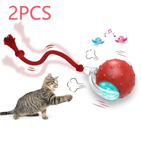 Self-Driving Rolling Ball Cat Toy – 3 Modes, Bird Chirp Sound, Tail & Rope Attachments – view 21