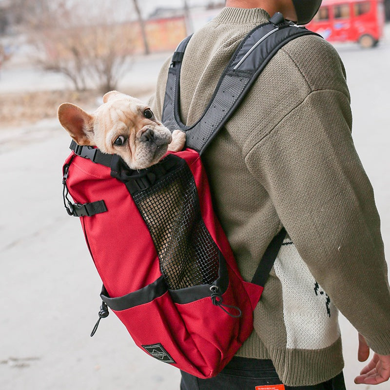 Legs-Out Dog Carrier Backpack – Breathable Front & Back Pet Carrier for Small Dogs & Puppies, S–XL – view 4