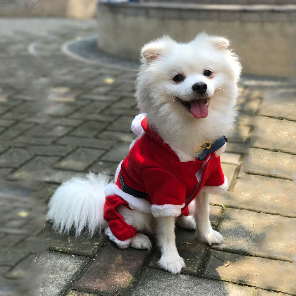 Red Christmas Dog Sweater – Warm Holiday Knit – view 3