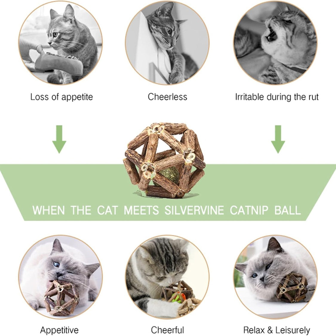 Silvervine Stick, Catnip Ball and Bell Ball Cat Chew Toy, Hand-Woven Natural Plant โ view 5