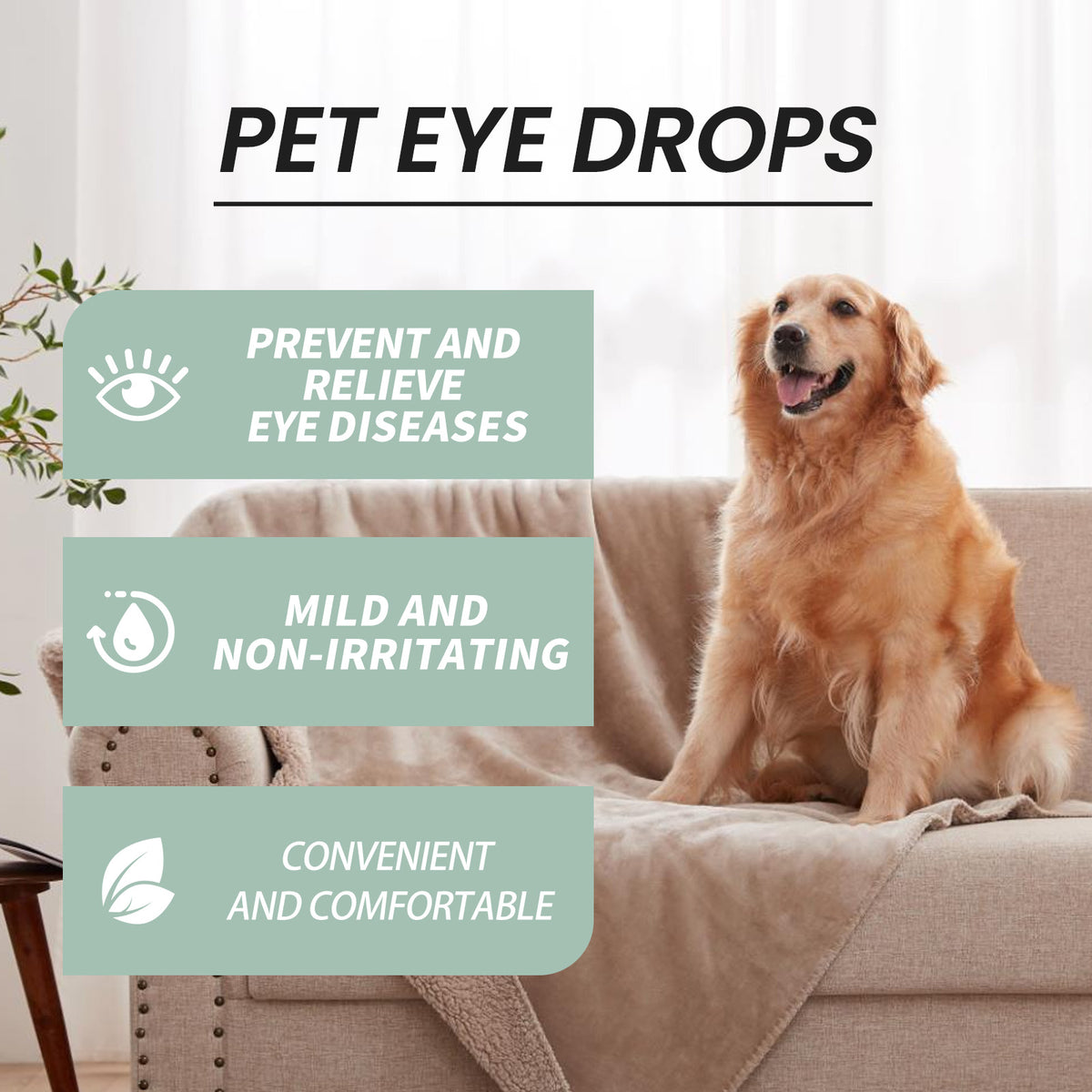 Pet Eye Cleaner Drops for Dogs and Cats โ Honeysuckle Oil and Blueberry Extract, 100 ml โ view 3