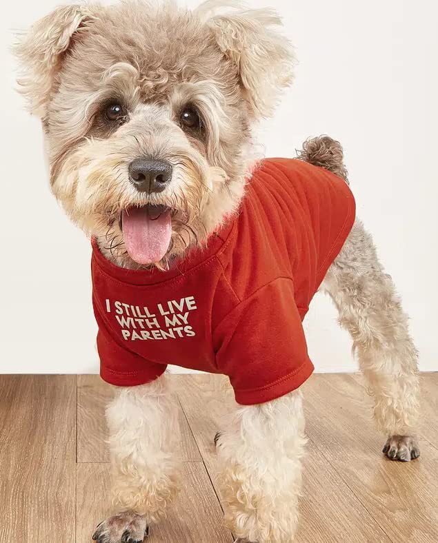 Round Neck Polyester Dog T-Shirt, Basic Pet Tee in Red, Blue, Black or Khaki โ view 5