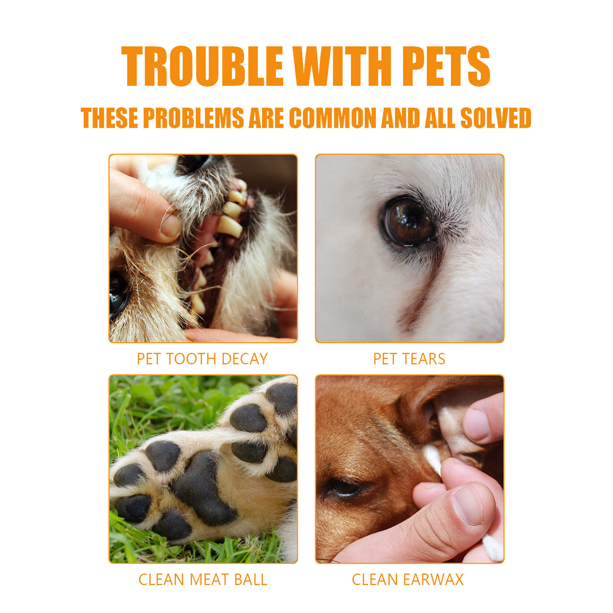 Pet Cleaning Finger Wipes for Dogs and Cats โ 50 Count Jar for Teeth, Eye Area and Ears โ view 6