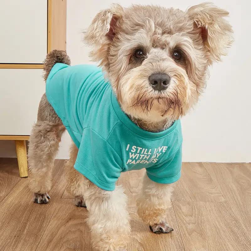 Round Neck Polyester Dog T-Shirt, Basic Pet Tee in Red, Blue, Black or Khaki