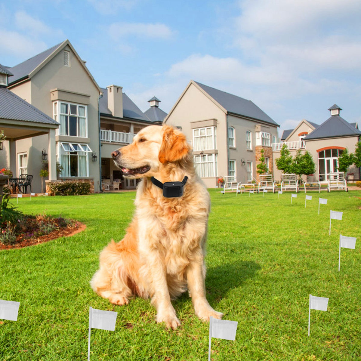 In-Ground Electric Dog Fence โ Up to 1.2 Acres, Tone & Static, Wire-Break Alert โ view 9