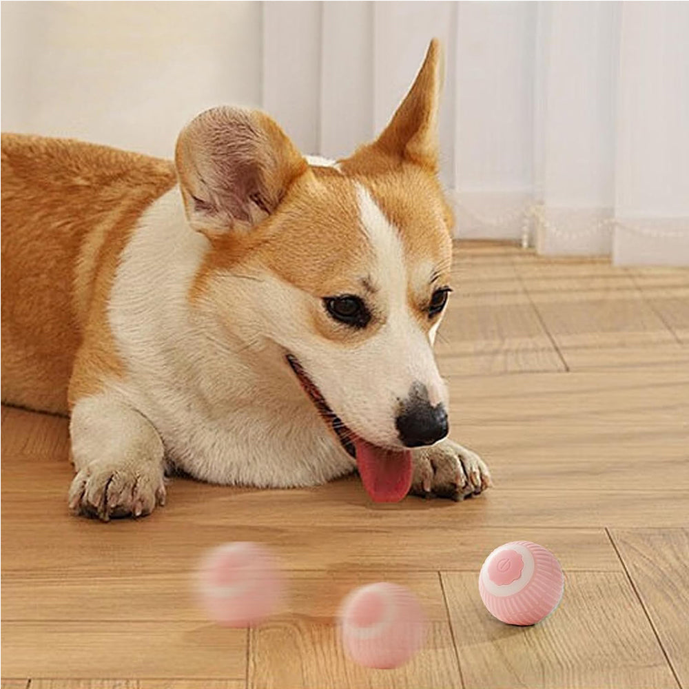 Interactive Rolling Cat Ball with Lights, Touch Activation and Rechargeable Battery โ view 10