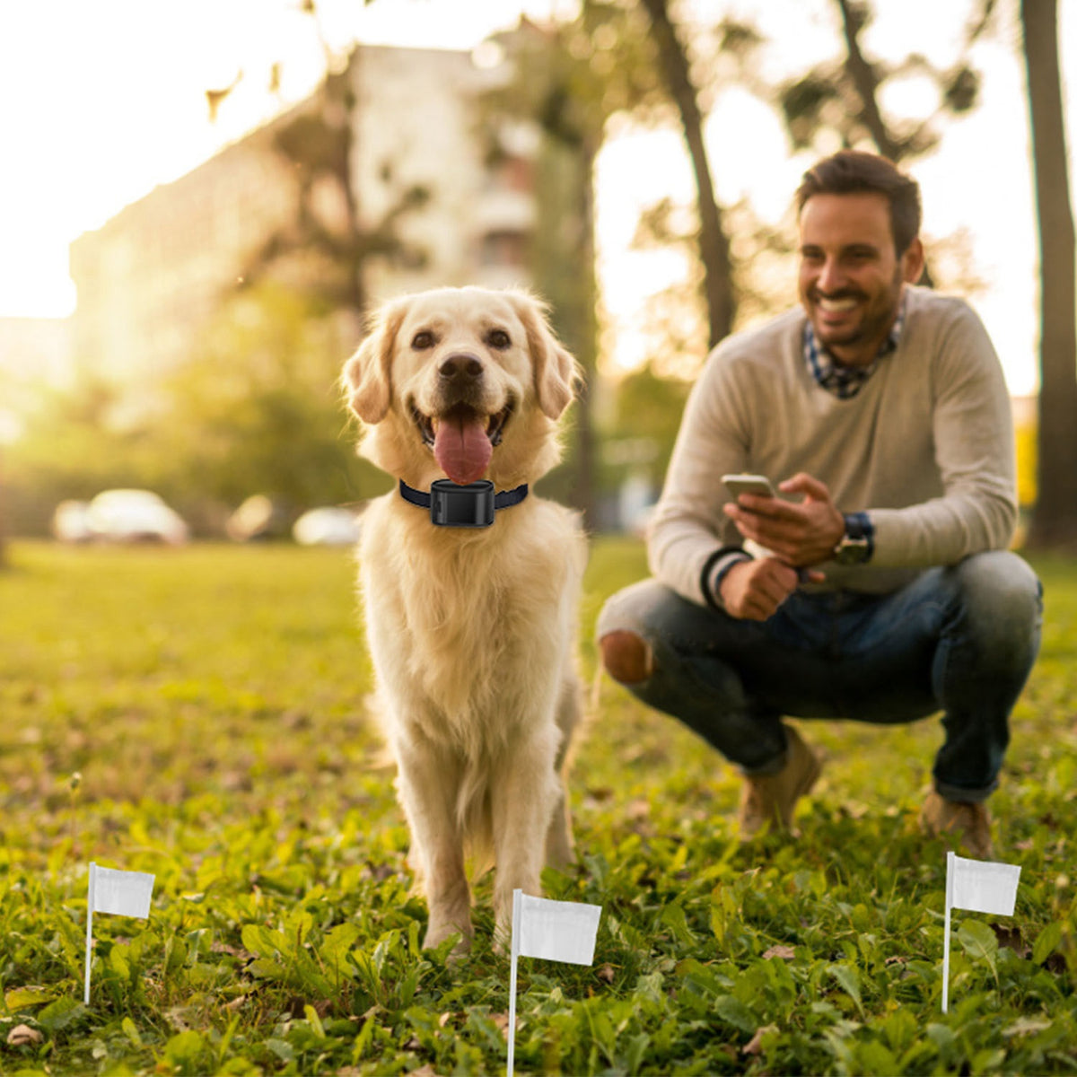 In-Ground Electric Dog Fence โ Up to 1.2 Acres, Tone & Static, Wire-Break Alert โ view 10