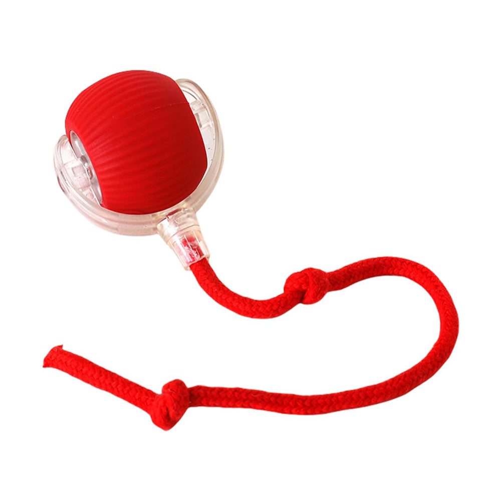Electric Rolling Ball Toy for Cats and Dogs with Lights and Touch Activation – Green, Gray or Red – view 8