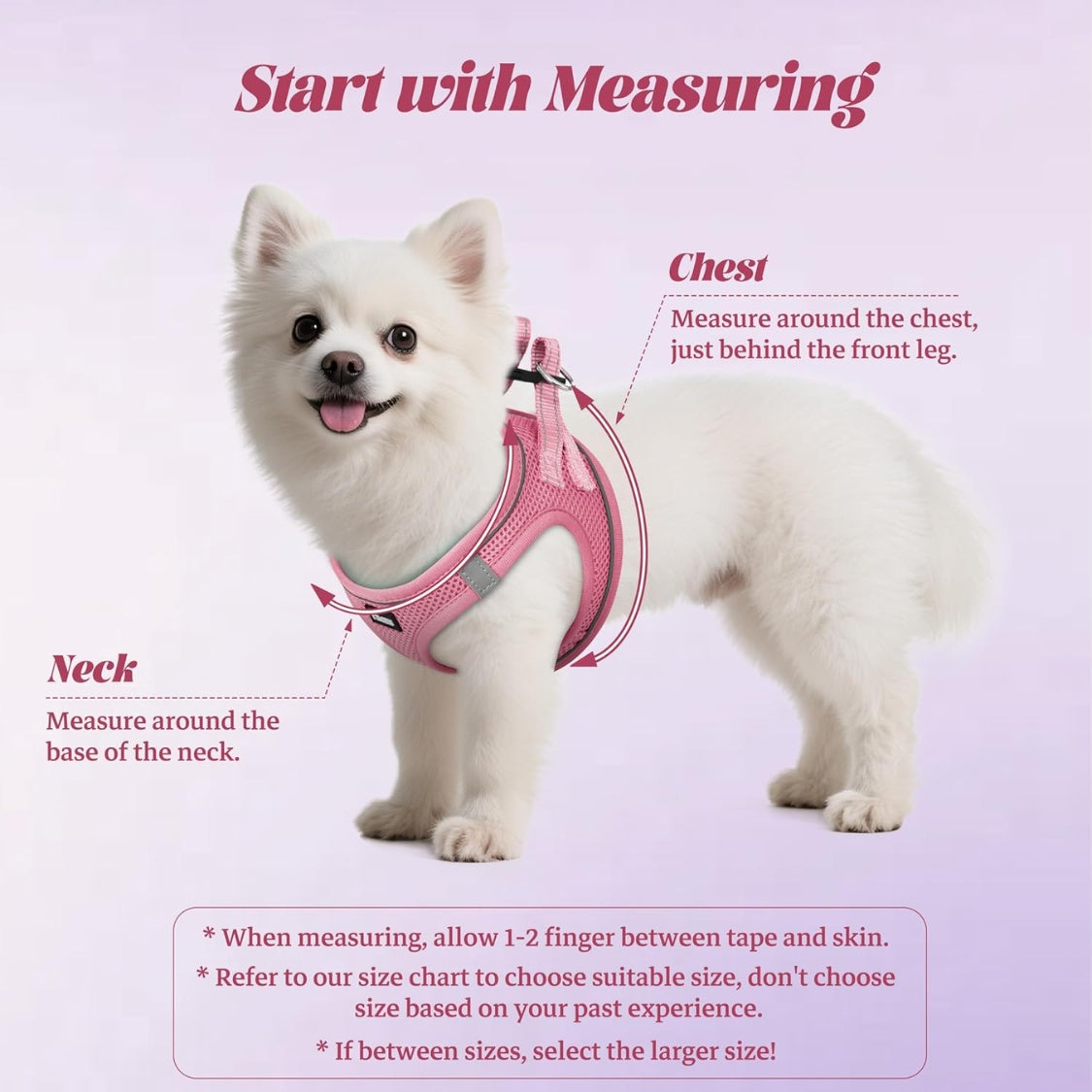 No-Pull Reflective Dog Harness & Leash Set – Breathable Mesh, Step-In, X-Small – view 4