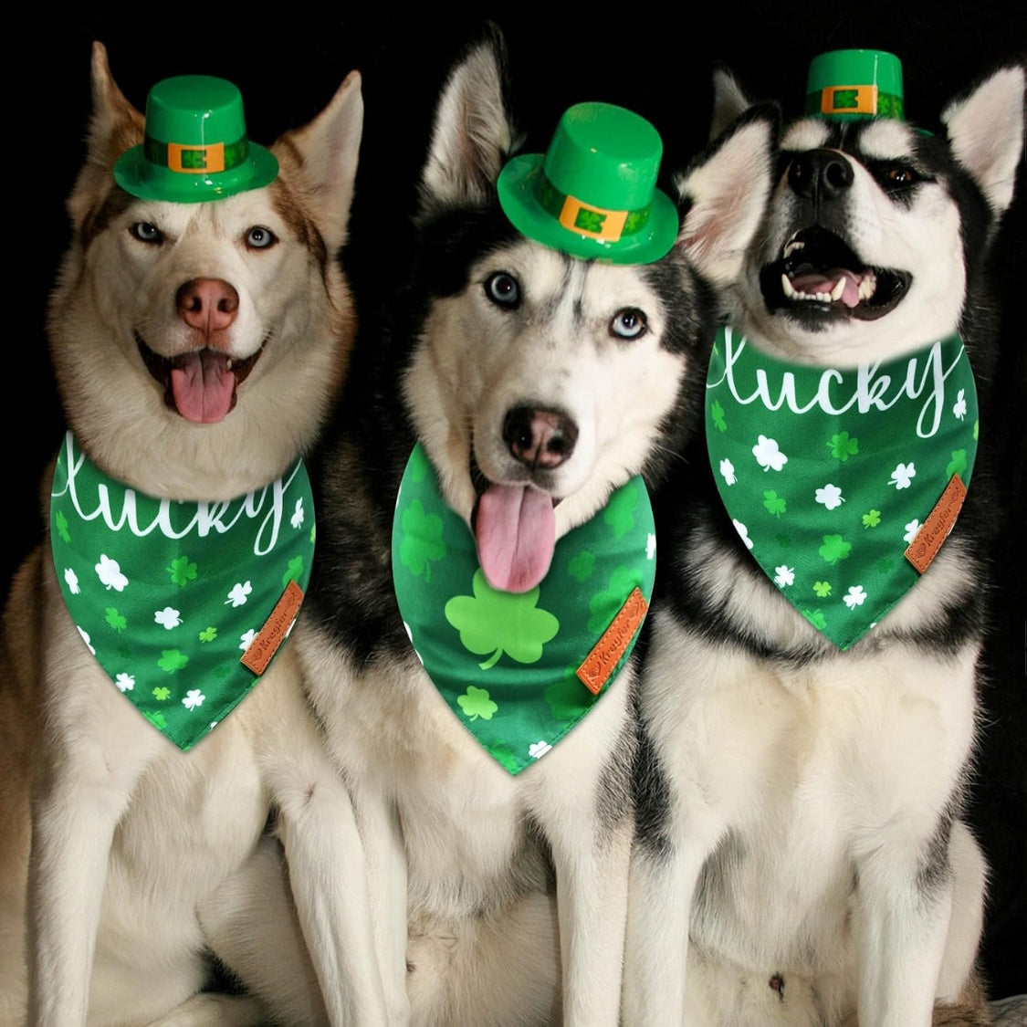 St. Patrick&