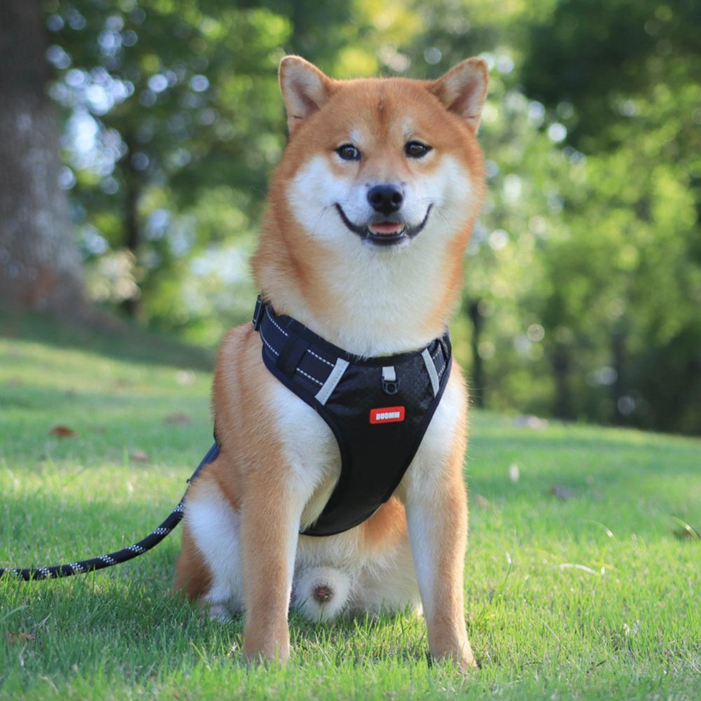 No-Pull Reflective Dog Harness – Breathable Mesh Vest – view 9