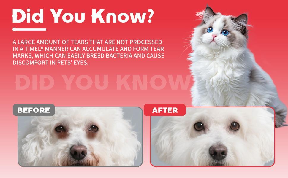 Pet Tear Stain Powder for the Fur Around Dog & Cat Eyes, Grooming Powder โ view 9