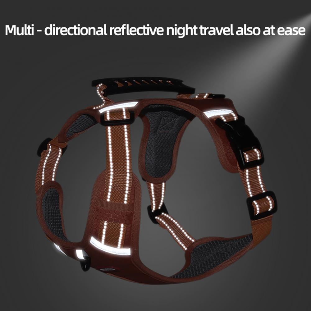 Dog walking in a no-pull reflective mesh harness