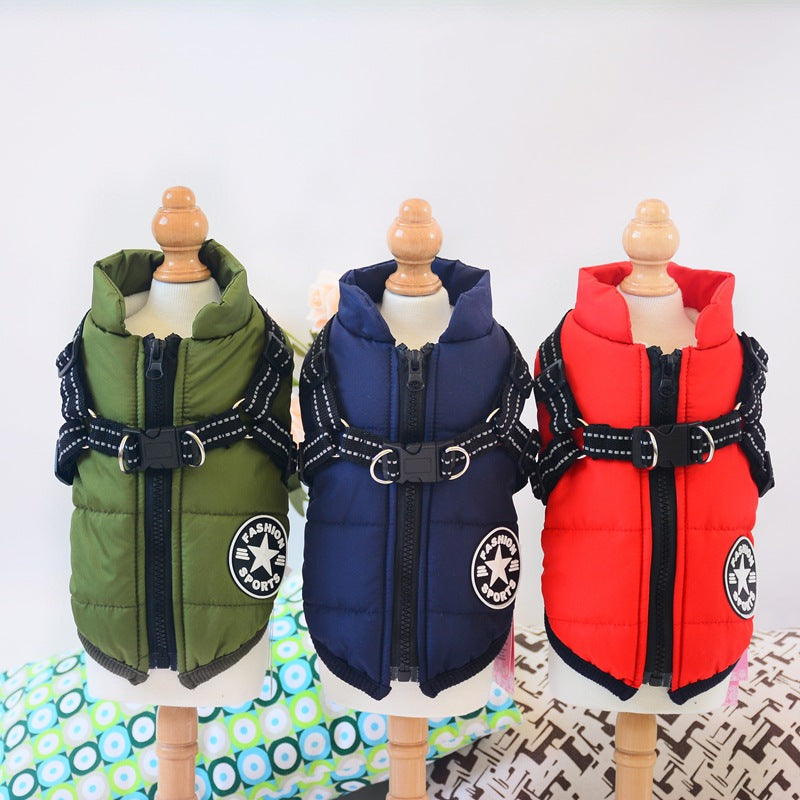 Dog wearing a waterproof hooded winter coat