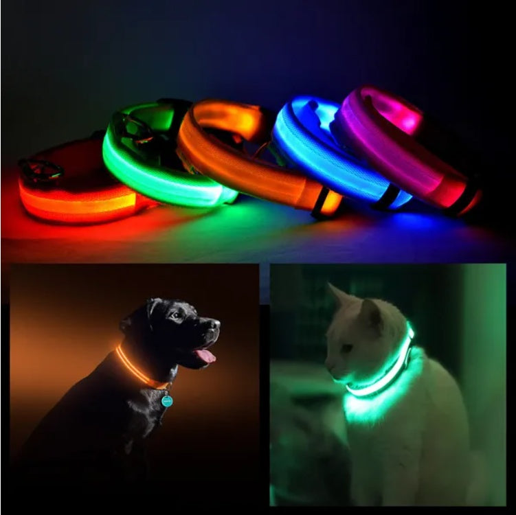 LED Light-Up Dog Collar – Halo Style, Flashing &amp; Steady Modes, S–XL, 5 Colors