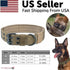 Wide Tactical Dog Collar – 1.65" Heavy-Duty Nylon, Neoprene Lined, Metal Buckle, Brown, M–XL