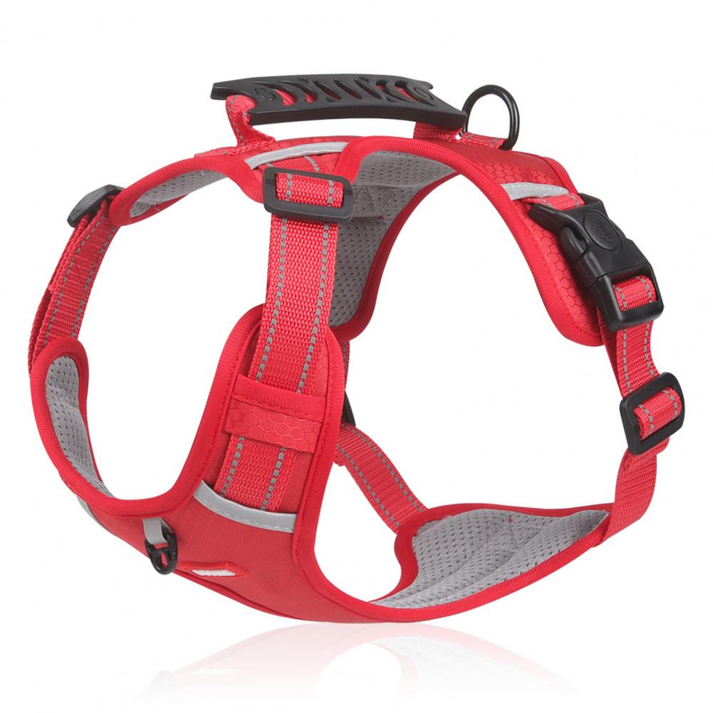 No-Pull Reflective Dog Harness – Breathable Mesh Vest – view 4