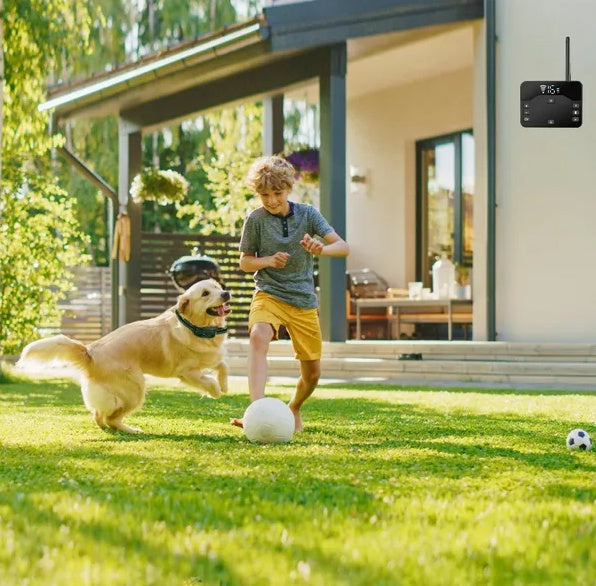 Wireless Dog Fence with Receiver Collar – 850 ft Boundary &amp; Remote Training, IPX6 – view 4