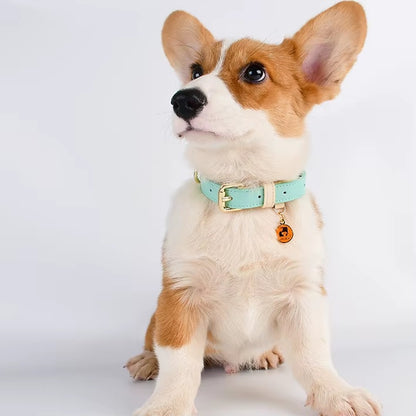 Genuine Leather Dog Collar – Soft, Adjustable &amp; Durable for Small, Medium &amp; Large Dogs – view 7