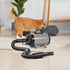High-Velocity Dog Blow Dryer – 2800 W with Adjustable Heat & Speed, 4 Nozzles, Gray & Black – view 6