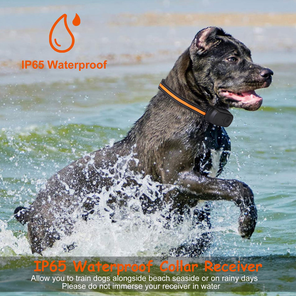 Remote Dog Training Collar with Voice Recording &amp; Keypad Lock – 984 ft, 3 Channels, Rechargeable – view 6