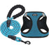 Breathable Air-Mesh Dog Vest Harness & Leash Set – Step-In, for Small Dogs, Puppies & Cats