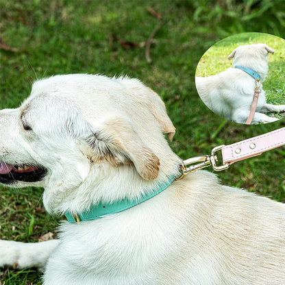 Genuine Leather Dog Collar – Soft, Adjustable &amp; Durable for Small, Medium &amp; Large Dogs – view 2