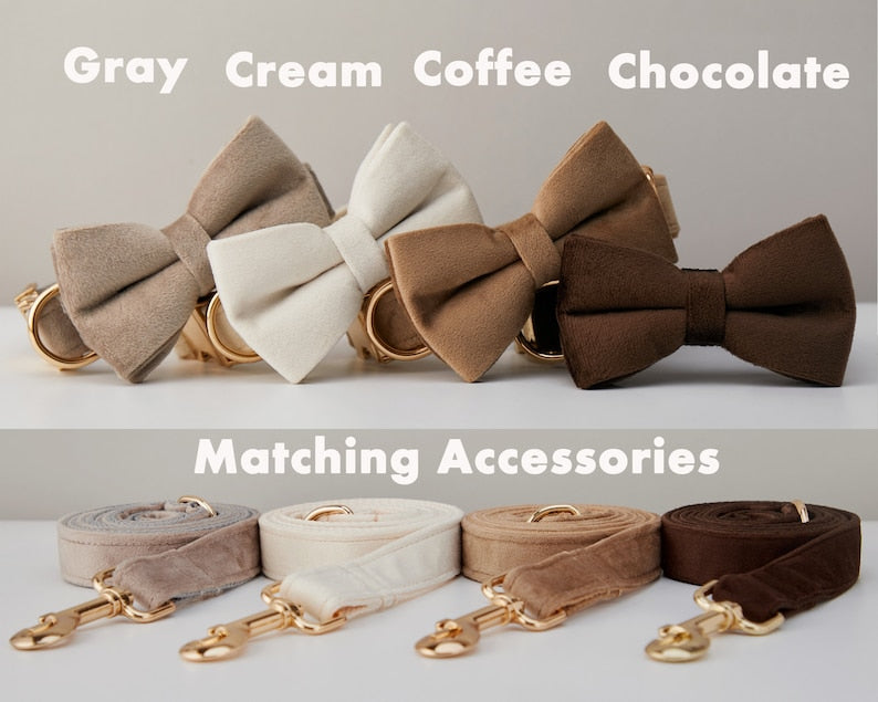 Velvet Dog Collar and Leash Set with Bow – Soft Cotton-Lined Collar, 8 Colors, XS–L – view 3