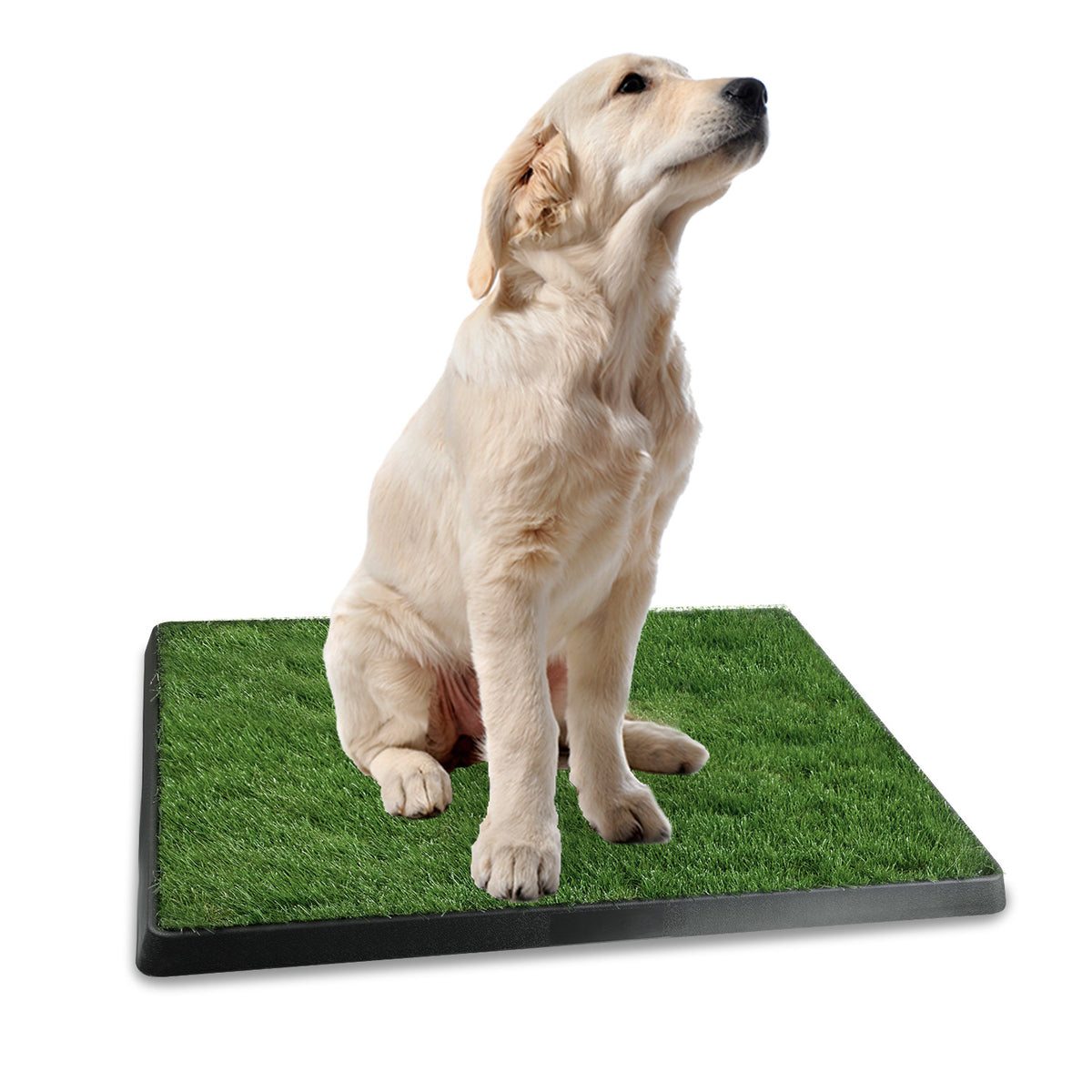 Artificial Grass Dog Potty – 3-Layer Indoor/Outdoor Pee Pad Tray, 25 x 20 in – view 6