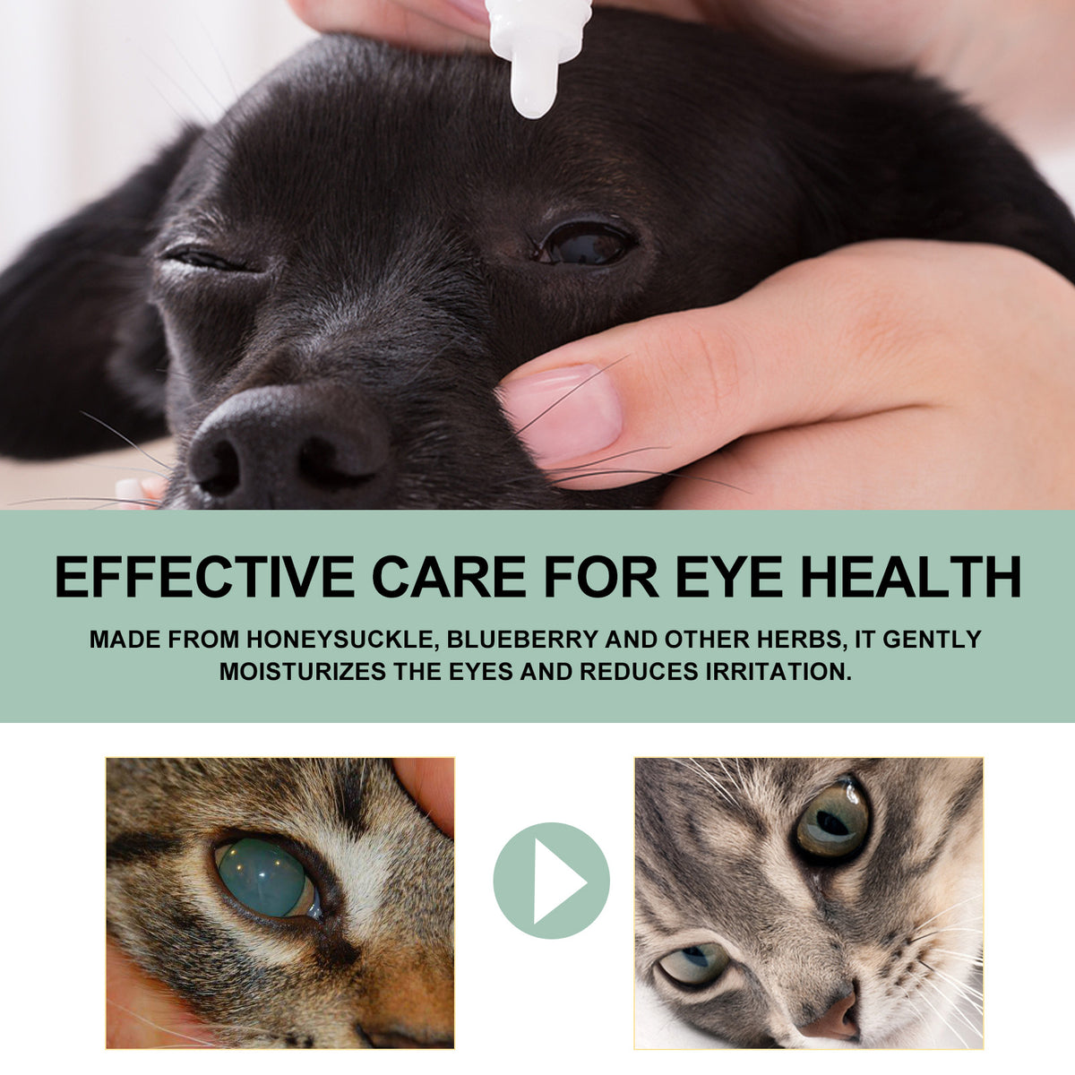 Pet Eye Cleaner Drops for Dogs and Cats – Honeysuckle Oil and Blueberry Extract, 100 ml – view 4