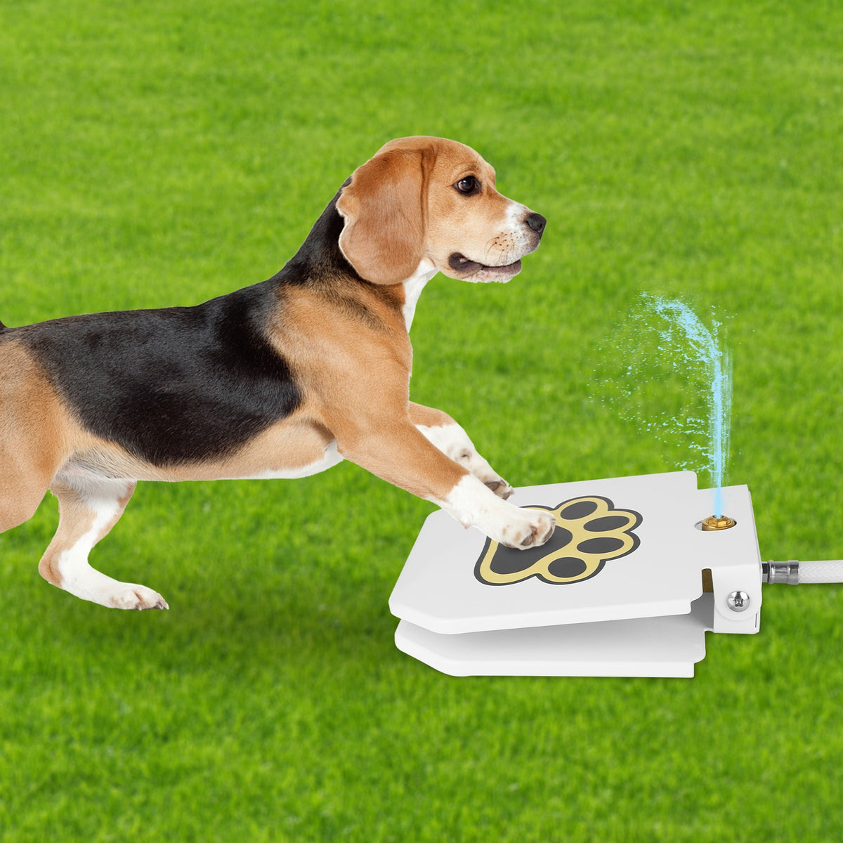 Step-On Outdoor Dog Water Fountain – Paw Pedal Activated Drinking Fountain with Hose – view 9