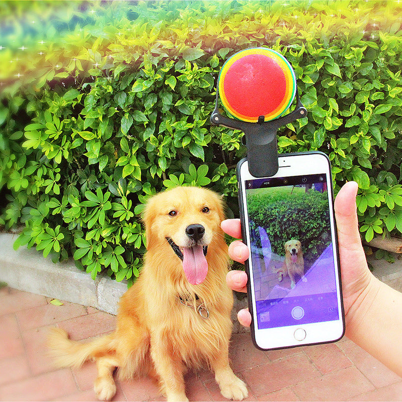 Pet Selfie Phone Clip – Tennis Ball and Treat Holder for Dog Photos, Green or Brown
