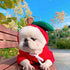 Fruit & Veggie Drawstring Dog Hoodie for Small Dogs & Cats, 7 Cute Styles – view 7