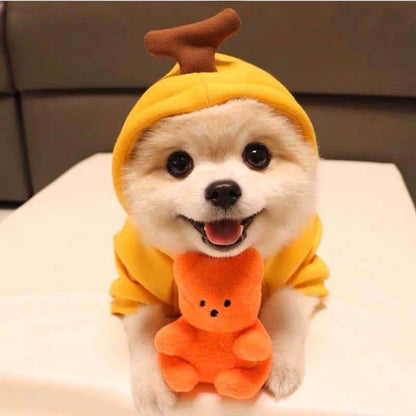 Fruit &amp; Veggie Drawstring Dog Hoodie for Small Dogs &amp; Cats, 7 Cute Styles – view 14
