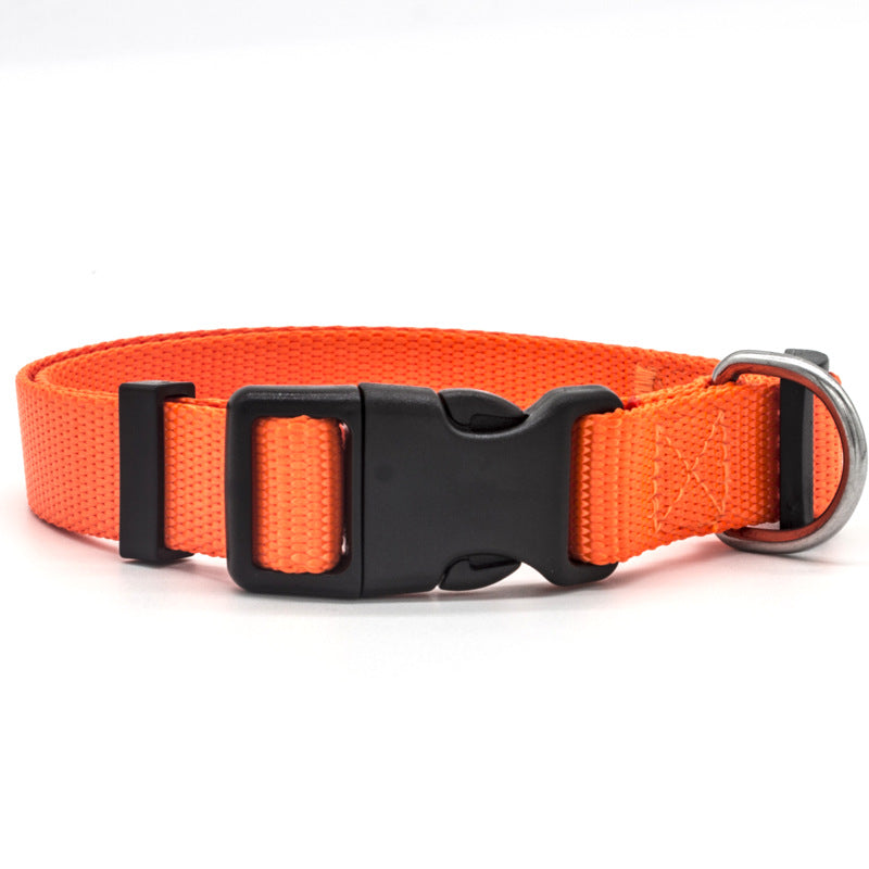 Soft Nylon Dog &amp; Cat Collar – Neoprene Lined, Adjustable with Metal D-Ring, 6 Colors, XS–XL – view 9